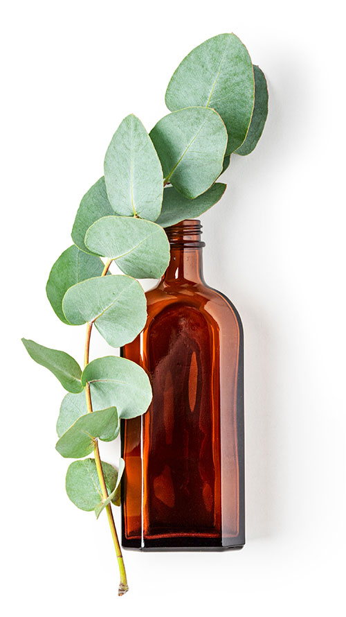bottle-green-good